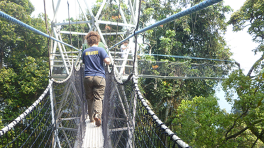 Canopy Walk in Nyungwe Forest