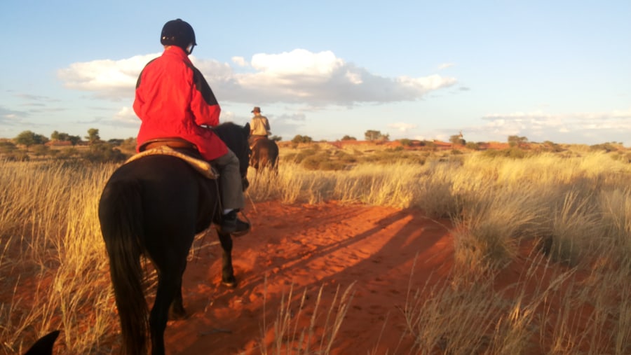 Kalahari Desert