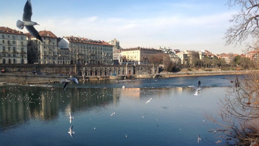 Walk along the river Po!