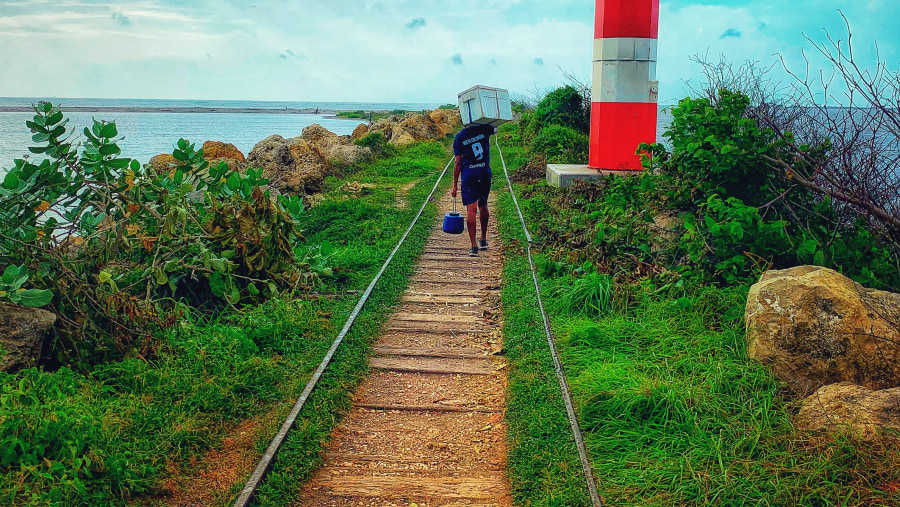 bocas de ceniza