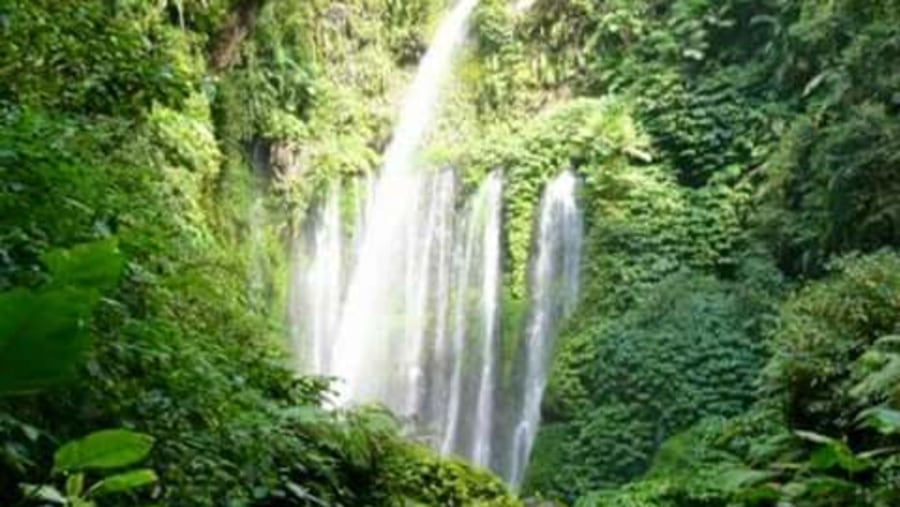 this second waterfall in my village.we offering panorama walk around senaru village