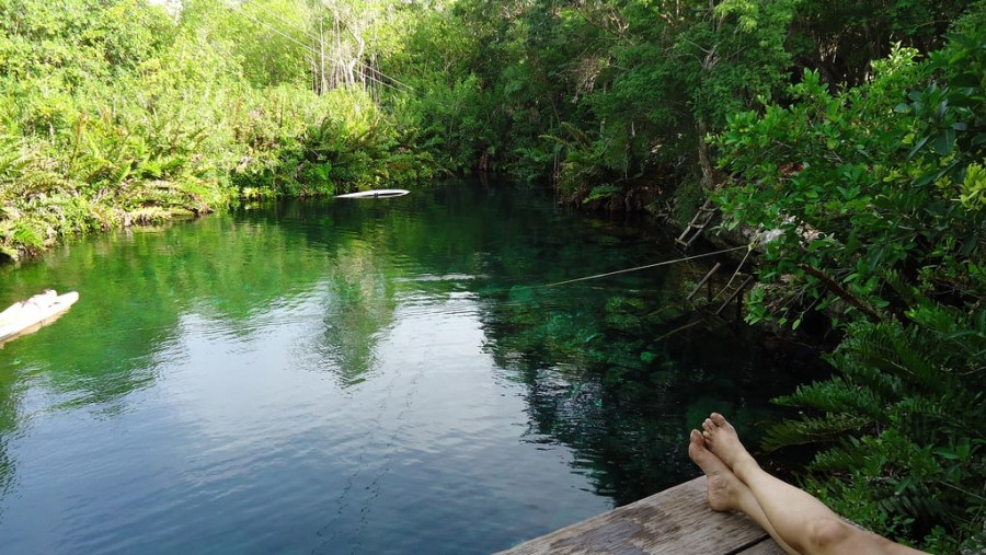 Beautiful cenotes (natural wells,sinkholes).