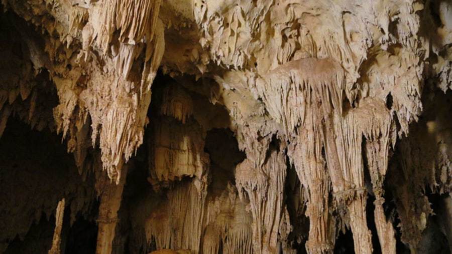 Anjohibe stalactict and stalagmyt