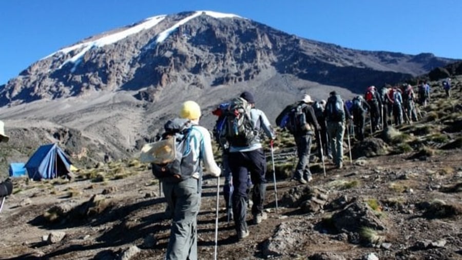 all the way to summit kilimanjaro