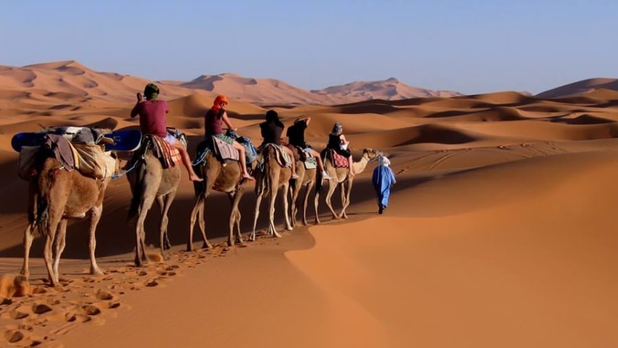 sahara desert tours