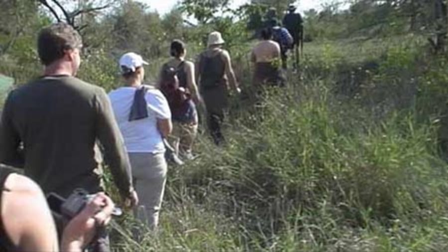 Walking Safari through the Kruger Park