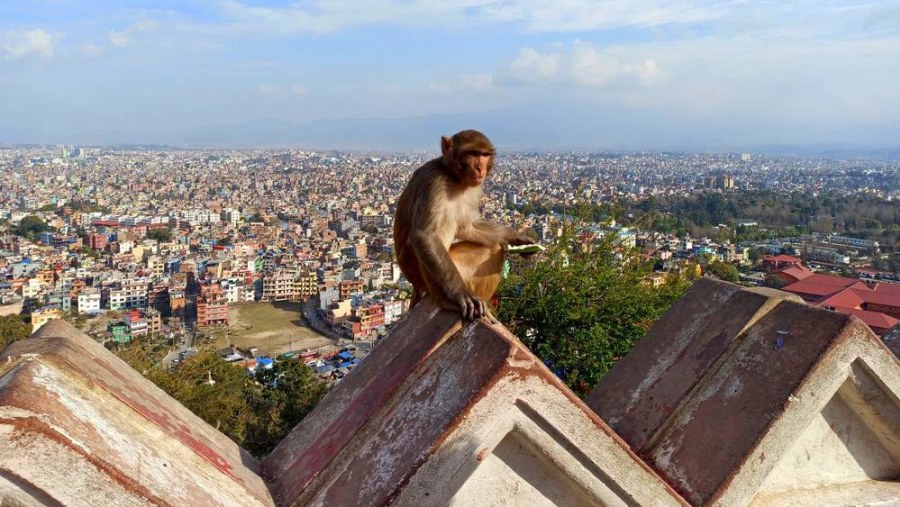 Swayambhunath Monkey Temple Area