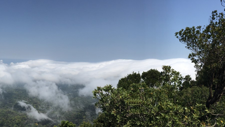View from Tijuca Peak