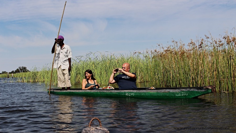 Full Day Mokoro Trip in Okavango Delta