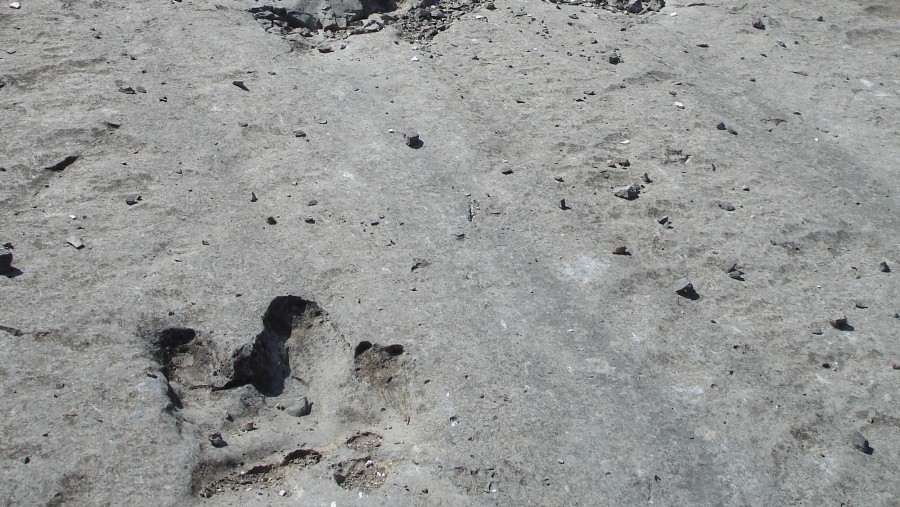 Dinosaur footprints Koytendag
