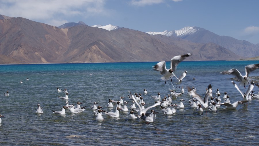 Pangong Lake