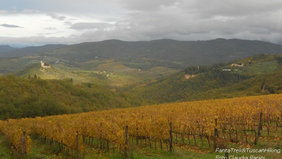 Chianti in Autumn