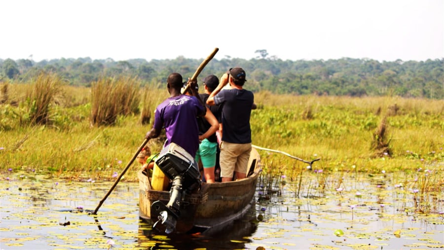 bird watching on the boat in search for the shoebill stock 