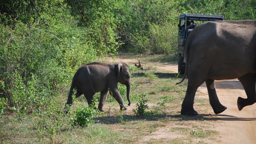 Wonderful Sri Lanka - on a motorcycle