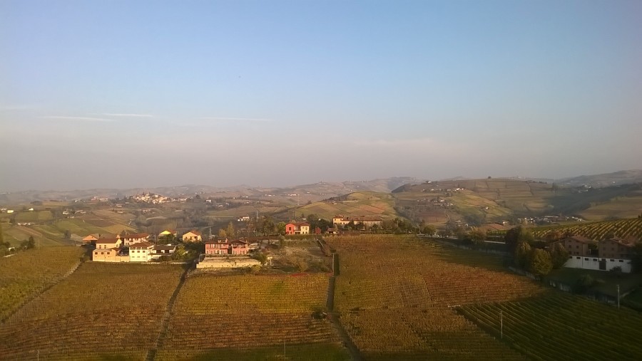 Piemont,Langhe,wine,vineyards, wine tastings