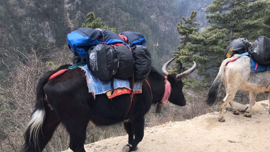 Lifetime Everest Base Camp Trek