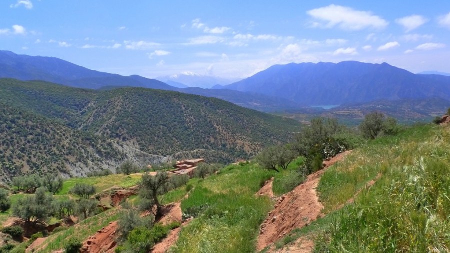 “Fantastic first visit to the Atlas Mountains”
