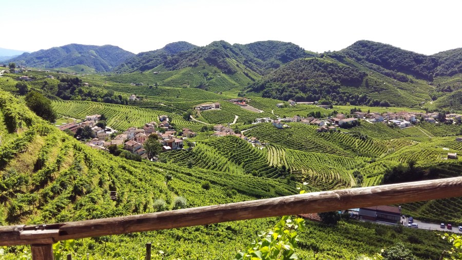 Panorama on the vineyards from the Cartizze Hill