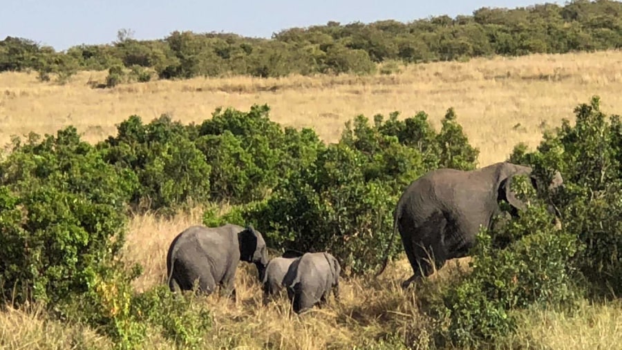 Maasai Mara Family trip