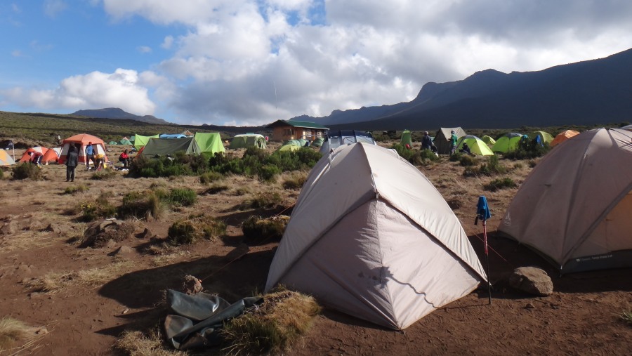 Dennis Shayo Mount Kilimanjaro August 2015