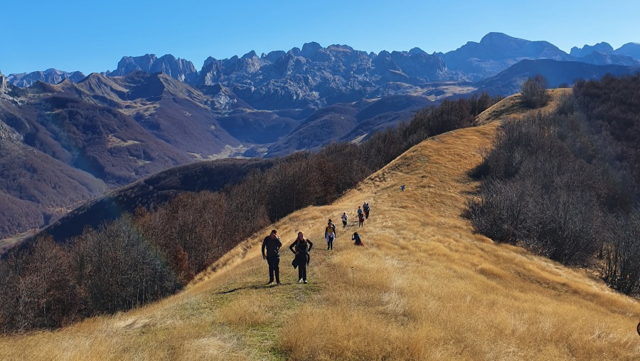 Hiking