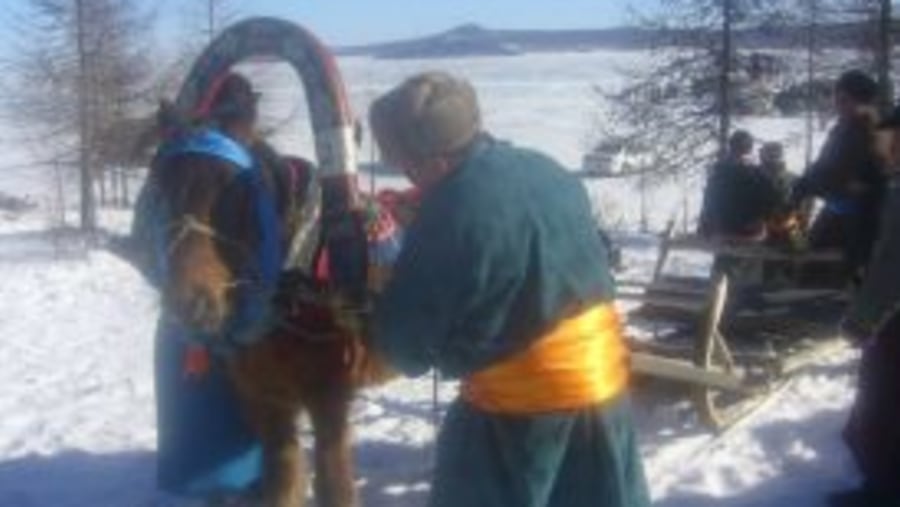 Winter tours by horse sledge on Lake Khovsgol