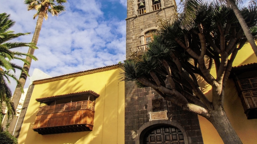 Tour Anaga and La Laguna Tenerife