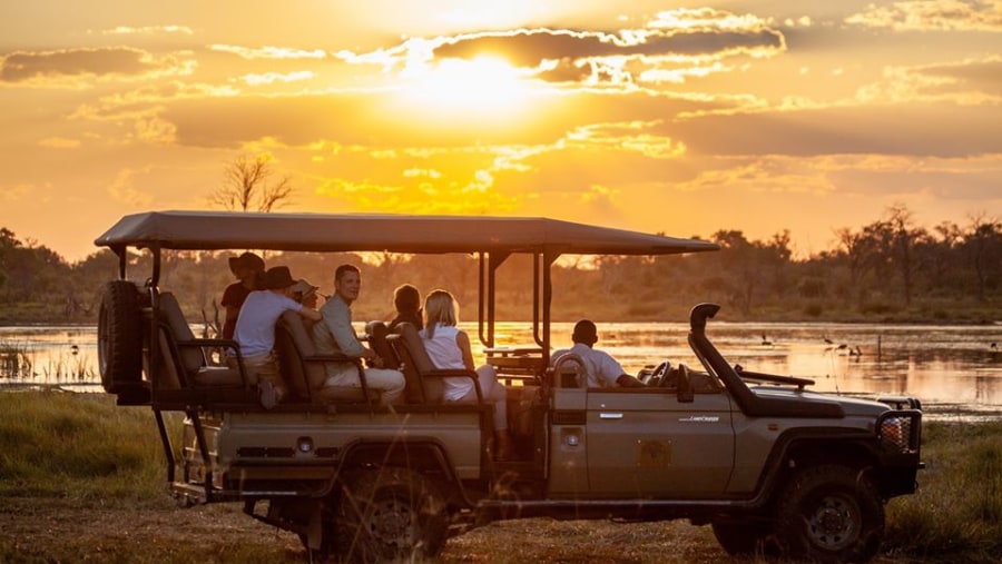 African Safaris and Tours