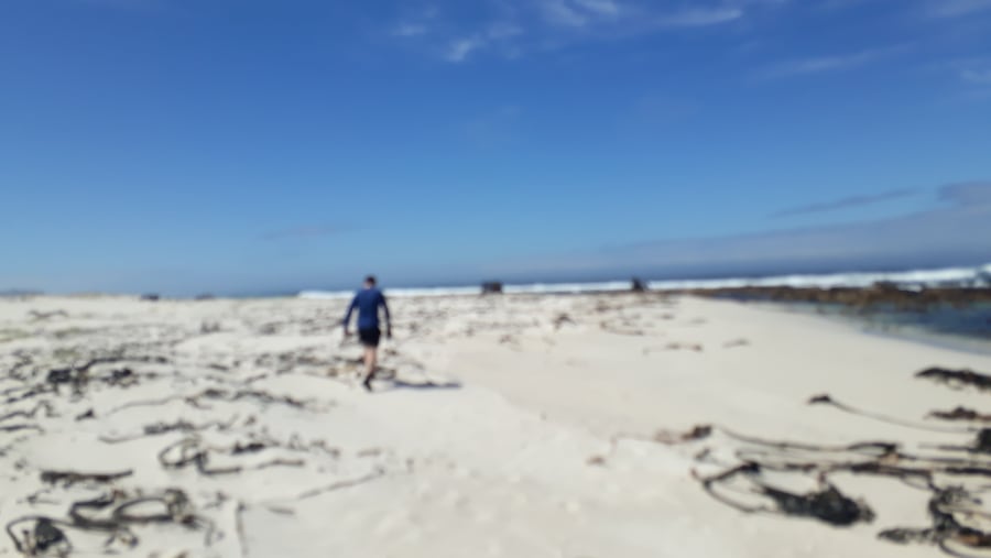 The walk along the long beaches to view the shipwrecks 