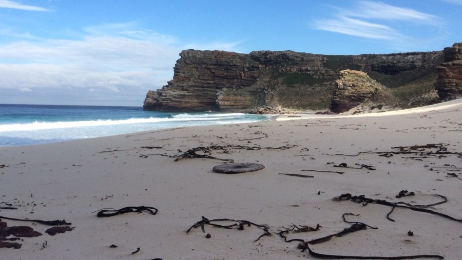 Geology of the Cape Peninsula and Boland