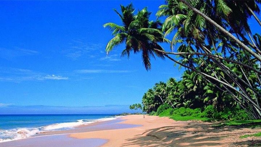 Beach in Srilanka