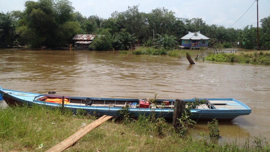 Tesso Nilo National Park weekend