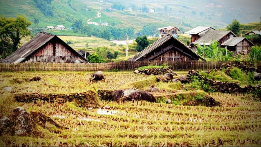 Lau Chai village, Sapa town