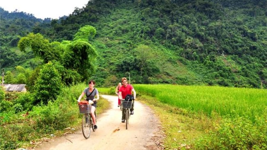 Very well-organized trip to Hanoi, Sapa, Ninh Binh and Halong Bay