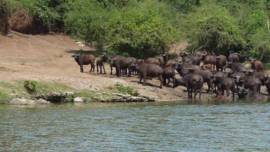 kazinga Channel