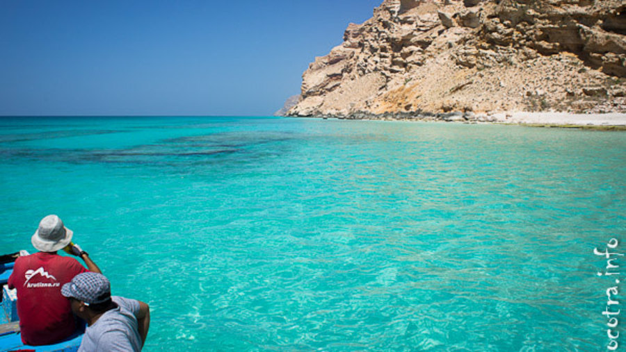 Shoub beach in Socotra to see dolphins 