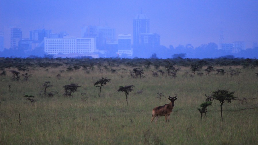  1 Day Nairobi Big Day Out 