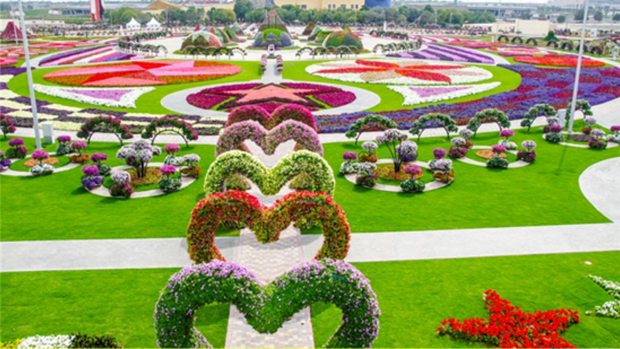 Miracle Garden