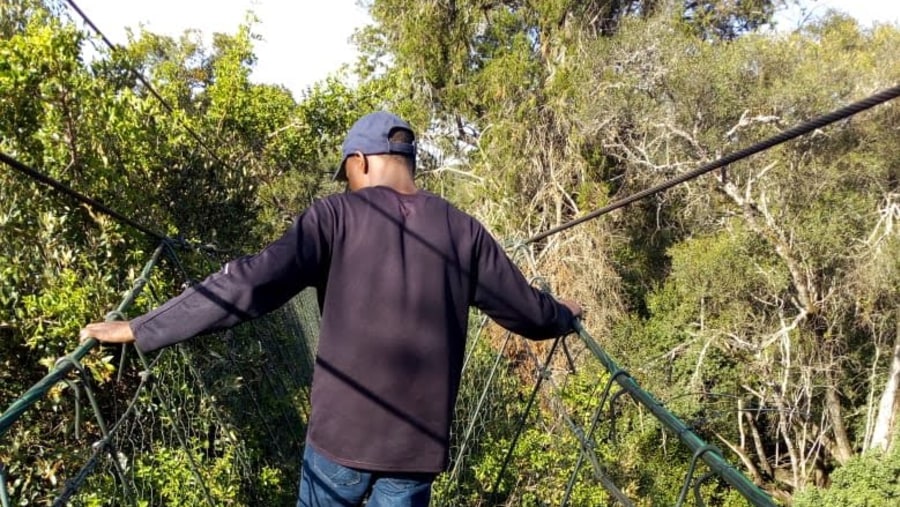 Canopy walk in ngarendare forest