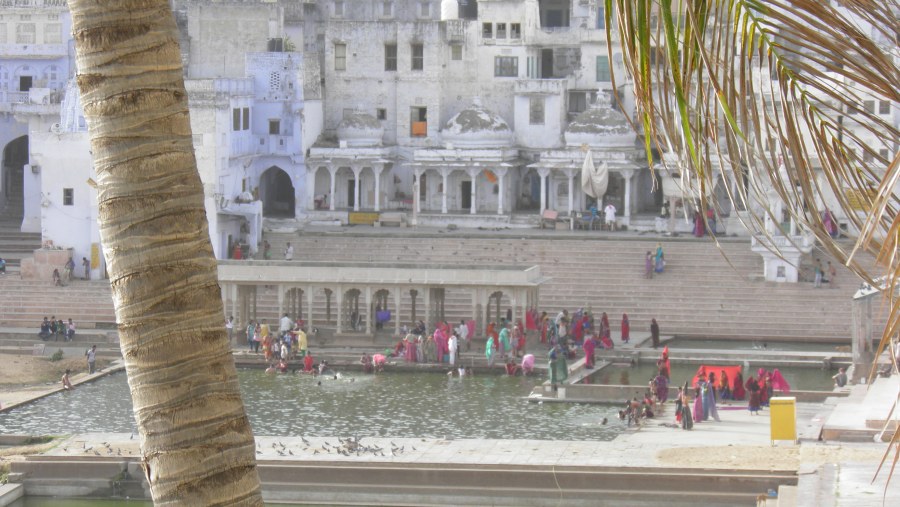 Great service for sightseeing and adventure in Pushkar, India