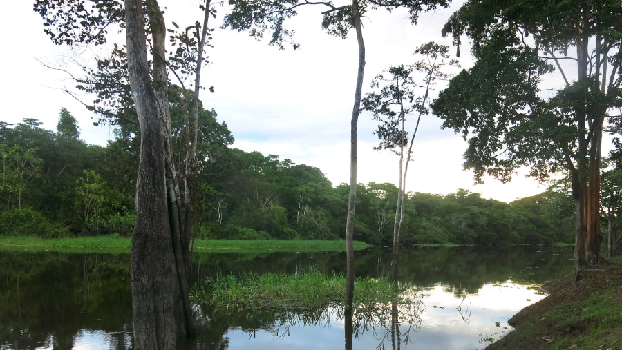 The beautiful Peruvian Amazon! 