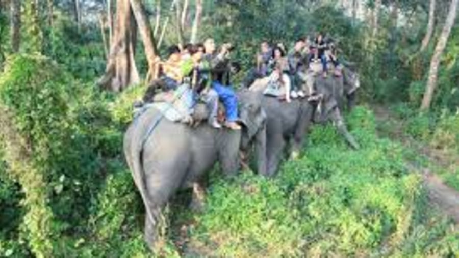 chitwan National park