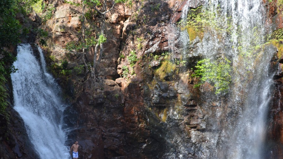 Florence Falls, Litchfield