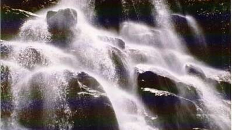 Véu de Noiva Waterfall