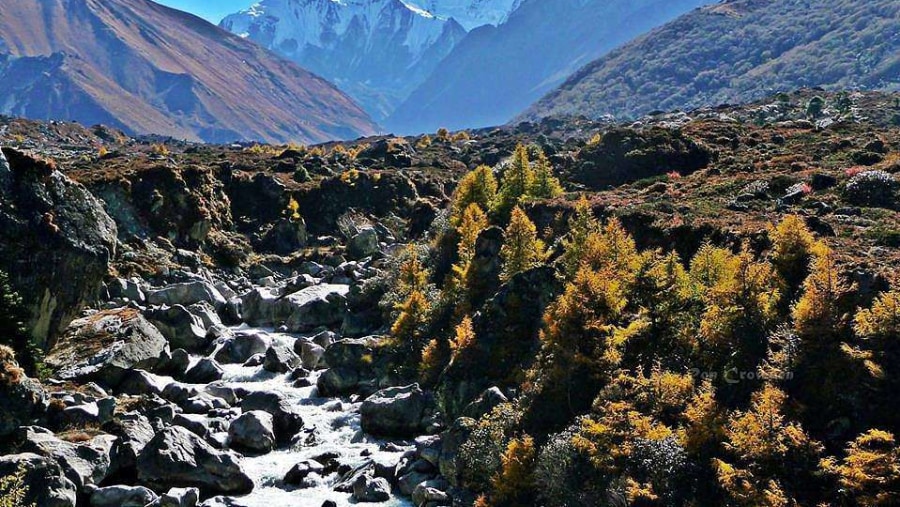 tika rai in Langtang valley