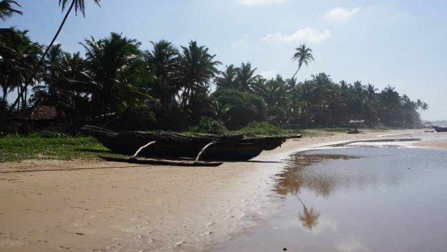 Beautiful Holidays in Sri Lanka with Damith and Sam/Прекрасные Новогодние каникулы на Шри-Ланке с Дамитом и Сэмом.