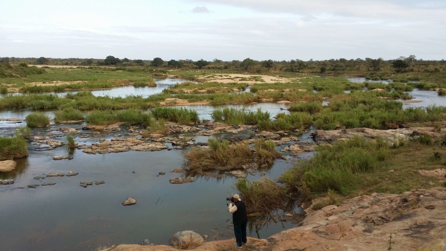 Hippo Pools