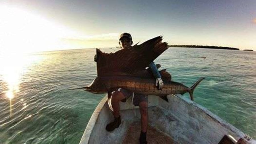 sailfish casting