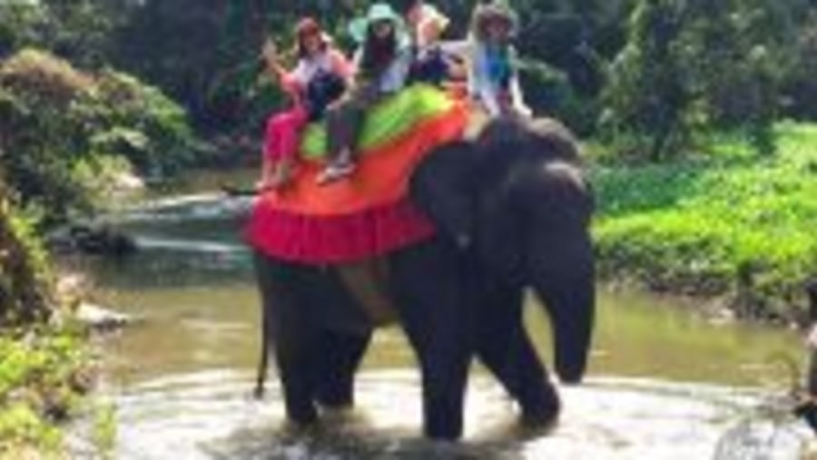 Elephant  Ride 