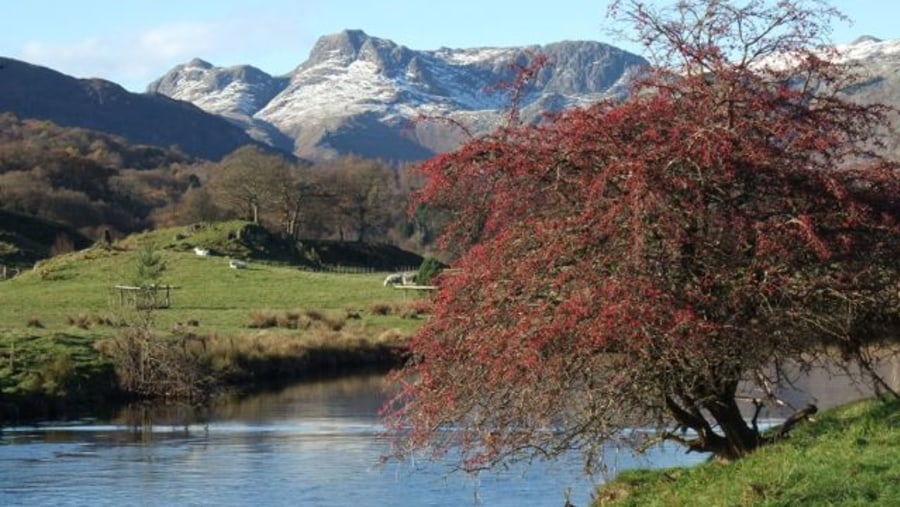 Autumn in Elterwater